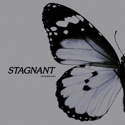 stagnant stagnant